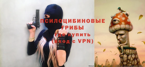 а пвп мука Гусь-Хрустальный
