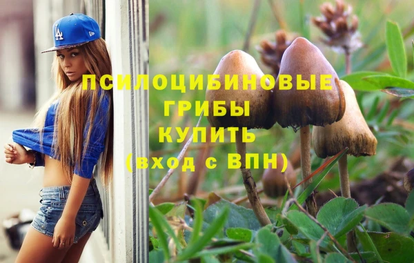 а пвп мука Гусь-Хрустальный