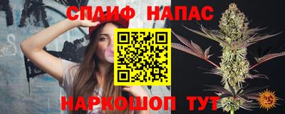 спиды Бийск