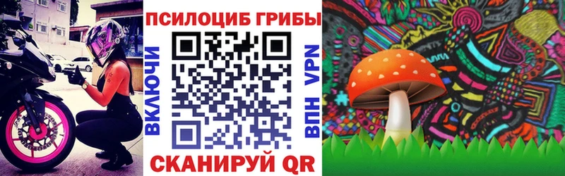 shop какой сайт  KRAKEN ТОР  Можайск  Галлюциногенные грибы мухоморы 