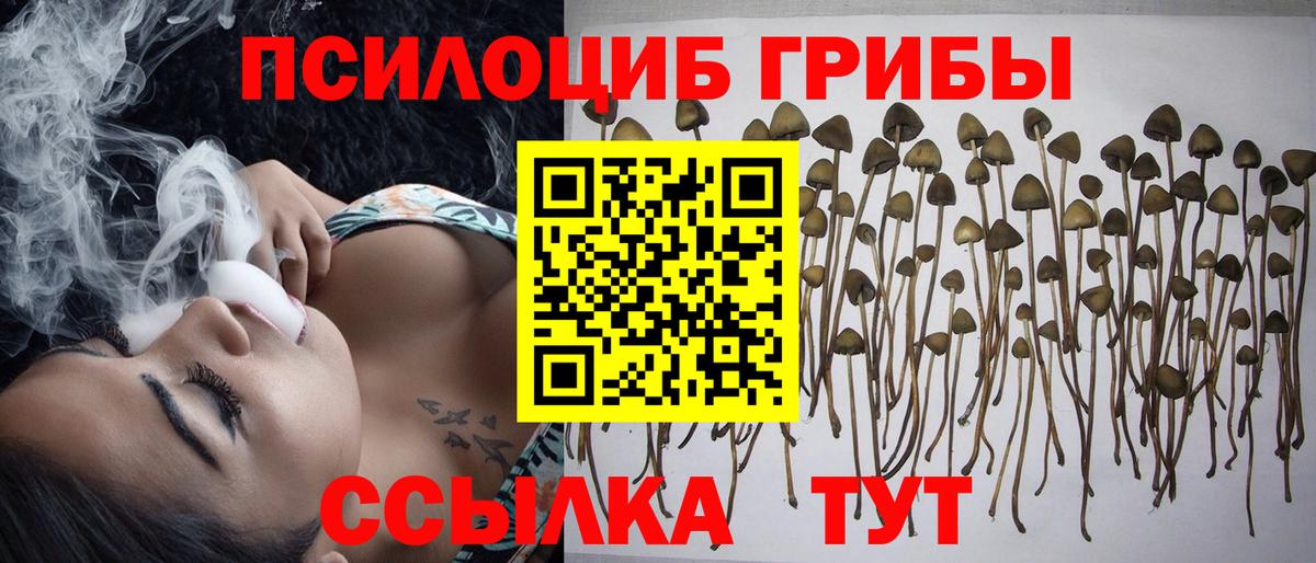 купить наркоту  Можайск  Псилоцибиновые грибы мицелий  Псилоцибиновые грибы ЛСД 