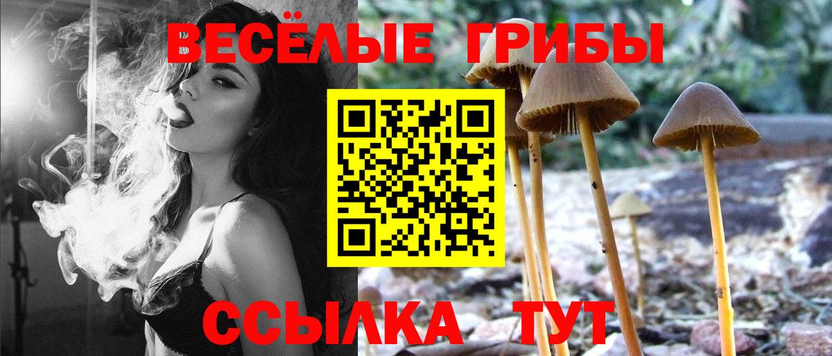 Можайск  Псилоцибиновые грибы MAGIC MUSHROOMS  Вход с VPN 